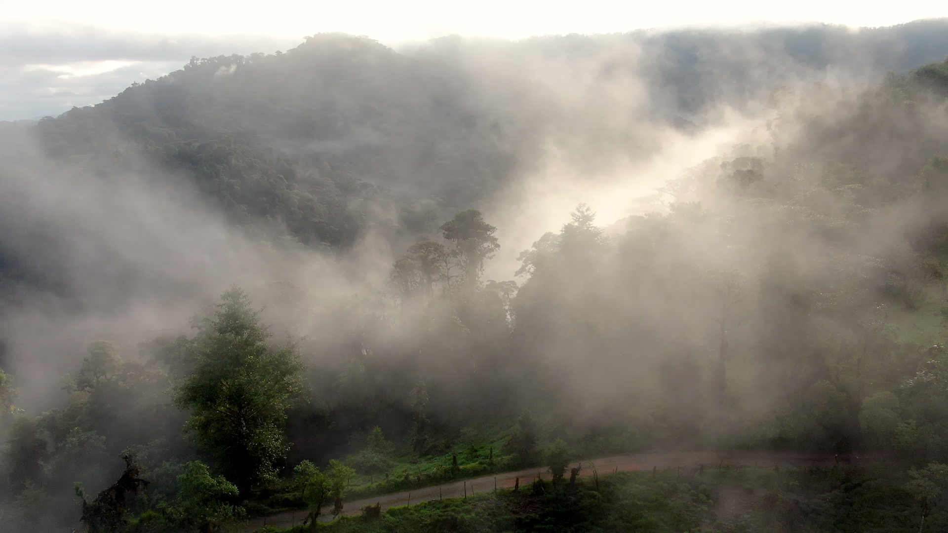 Vista aérea del bosque nublado de Mindo